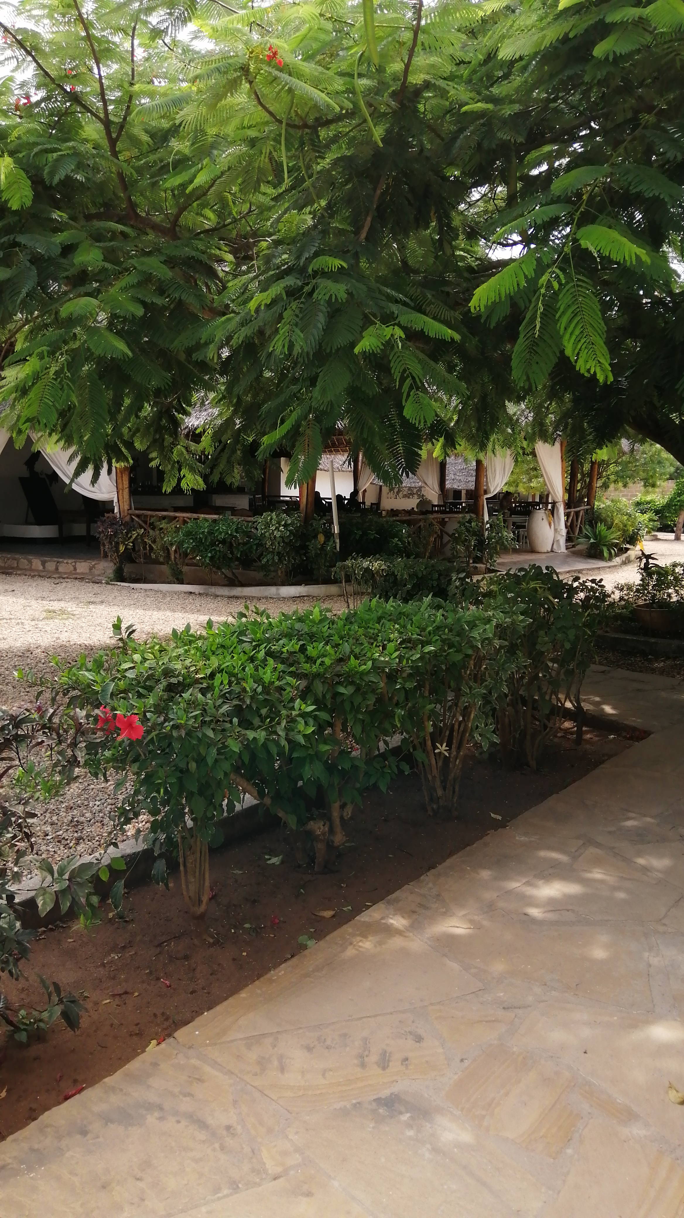 Фото Kibanda - L’Ombelico del Mondo