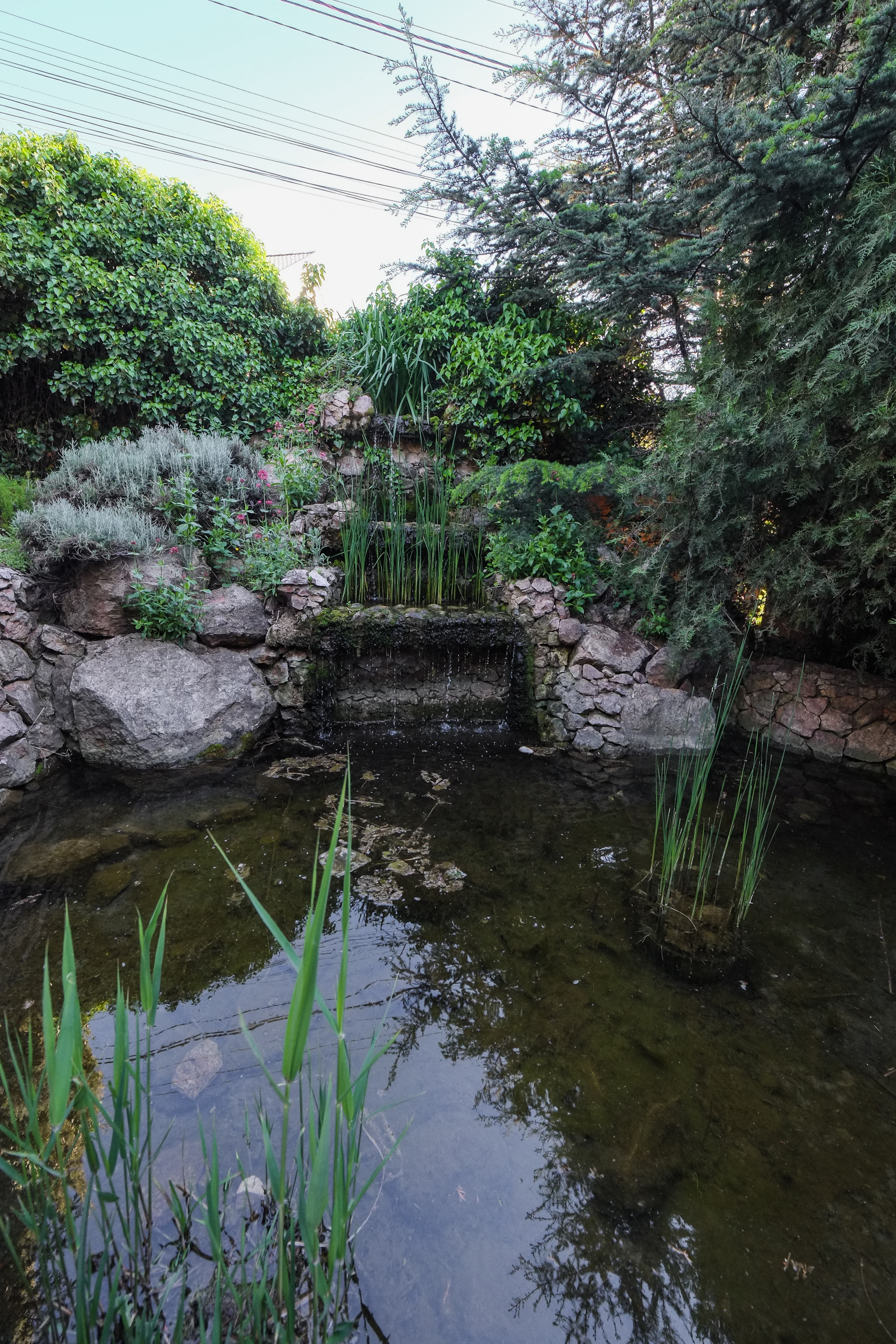 Фото Качинская