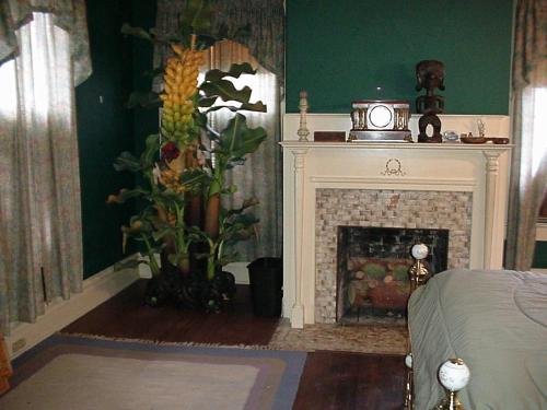 Фото Daffodale House B&b