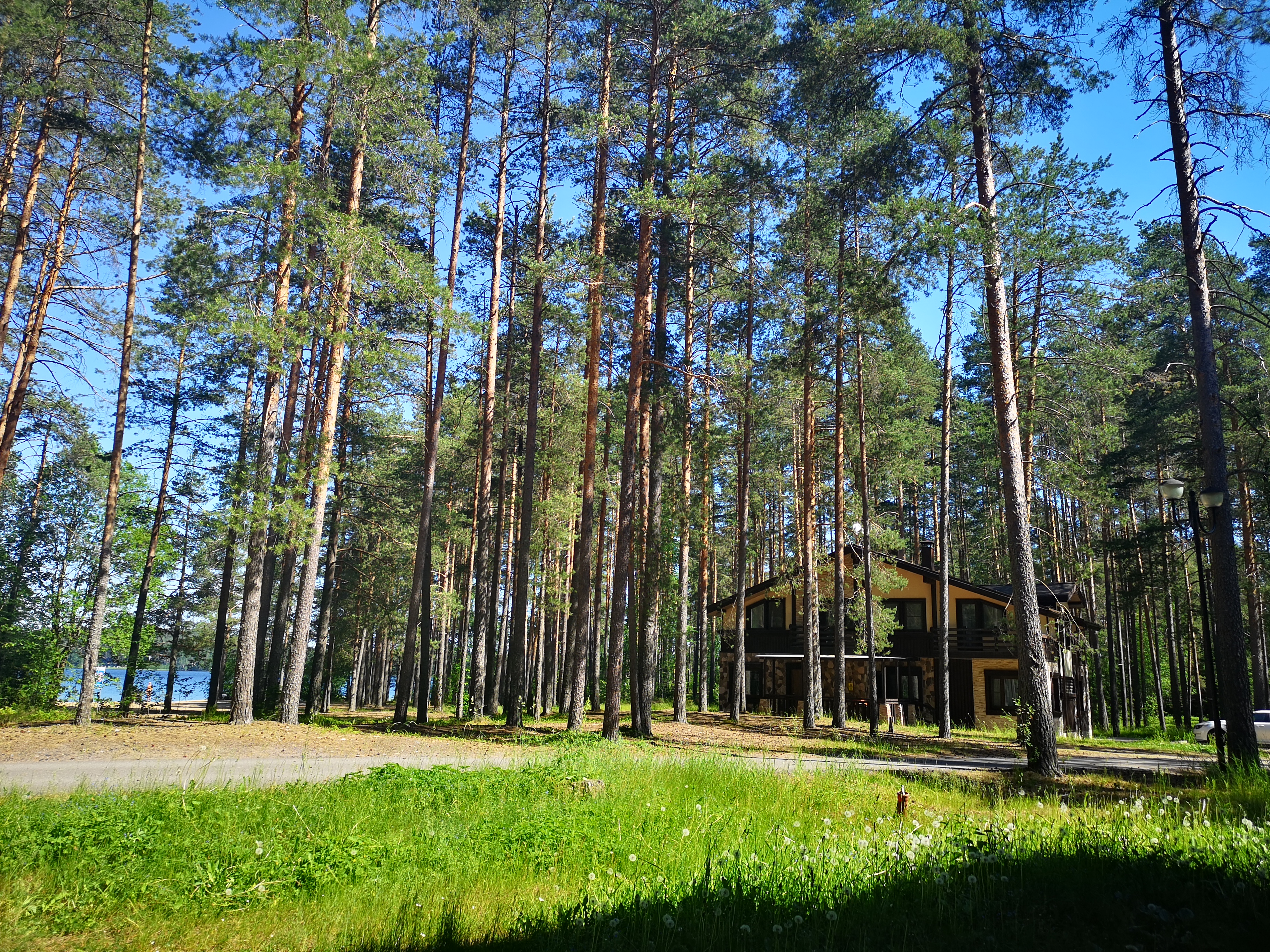 Фото Лесная Рапсодия