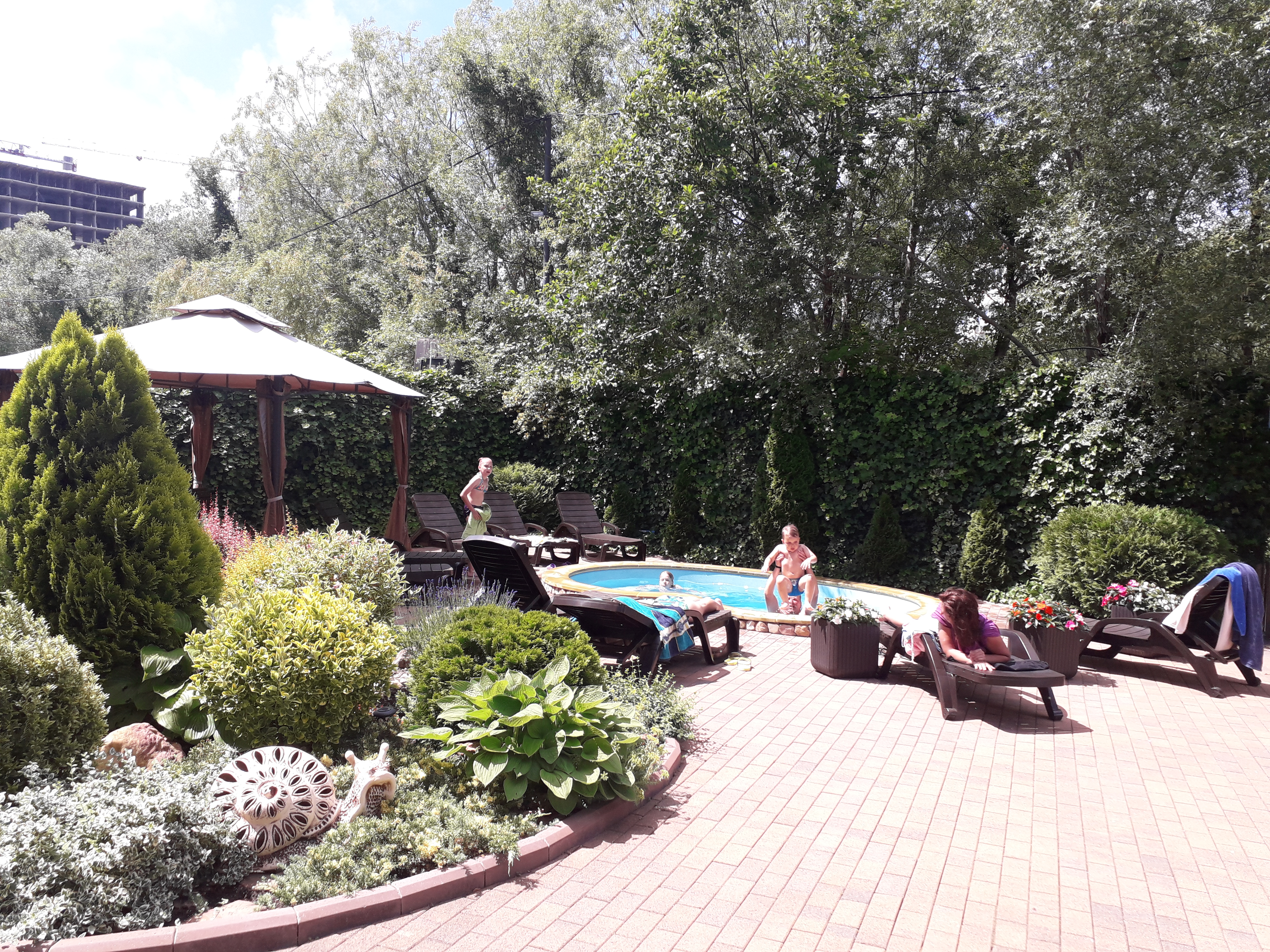 Фото Брауни