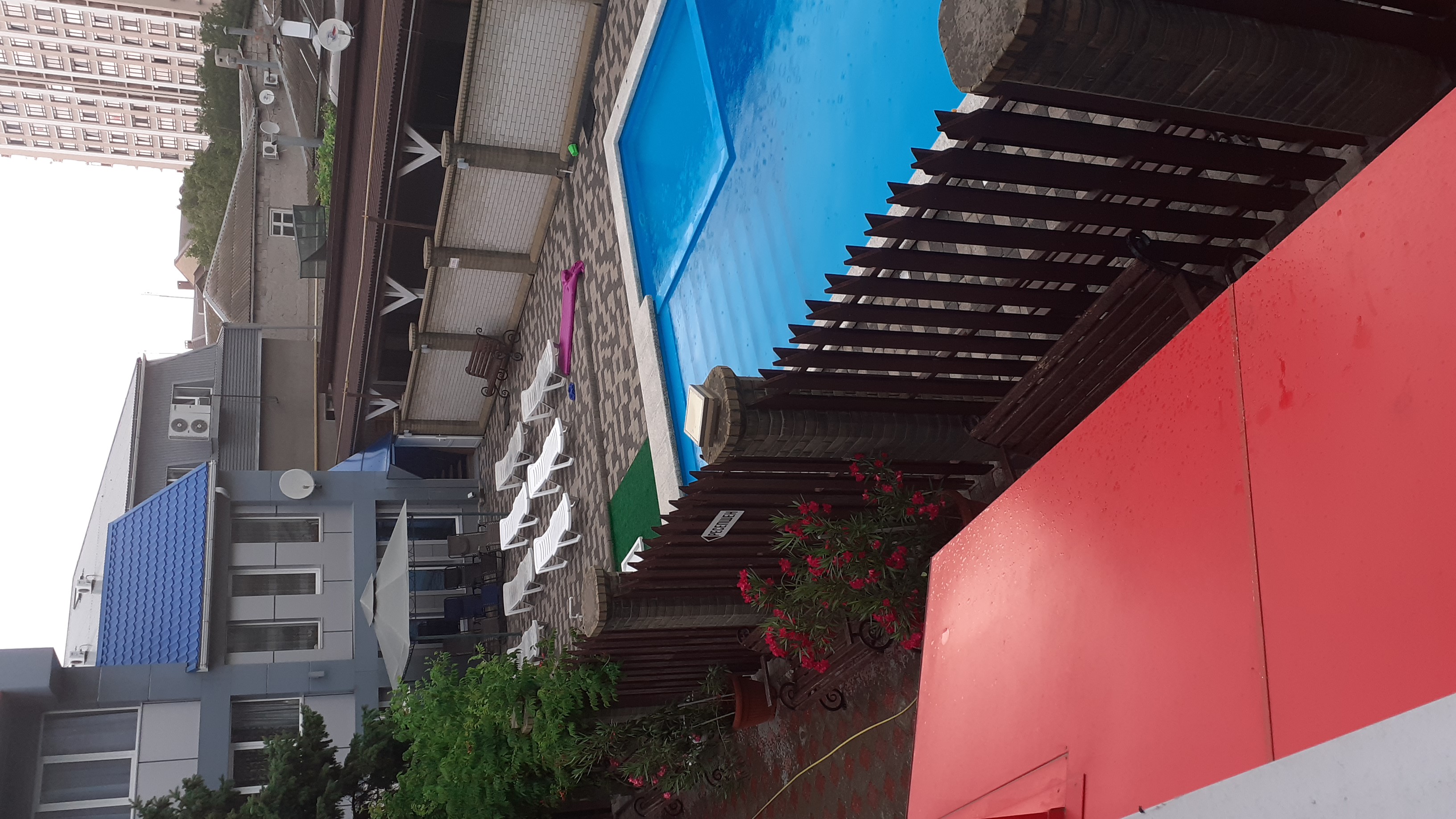 Фото Тополь