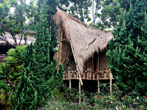 Гостиница Bamboo Village