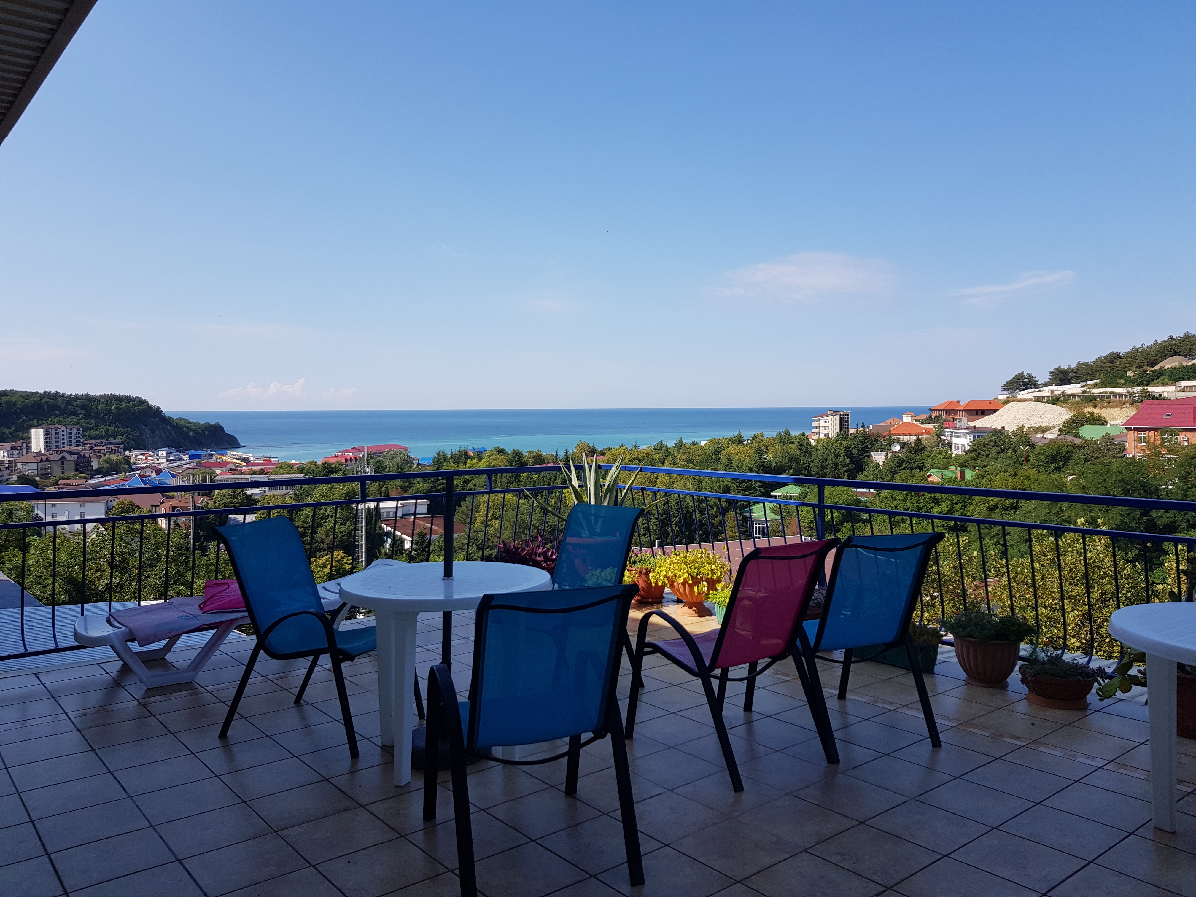 Фото Рамелия