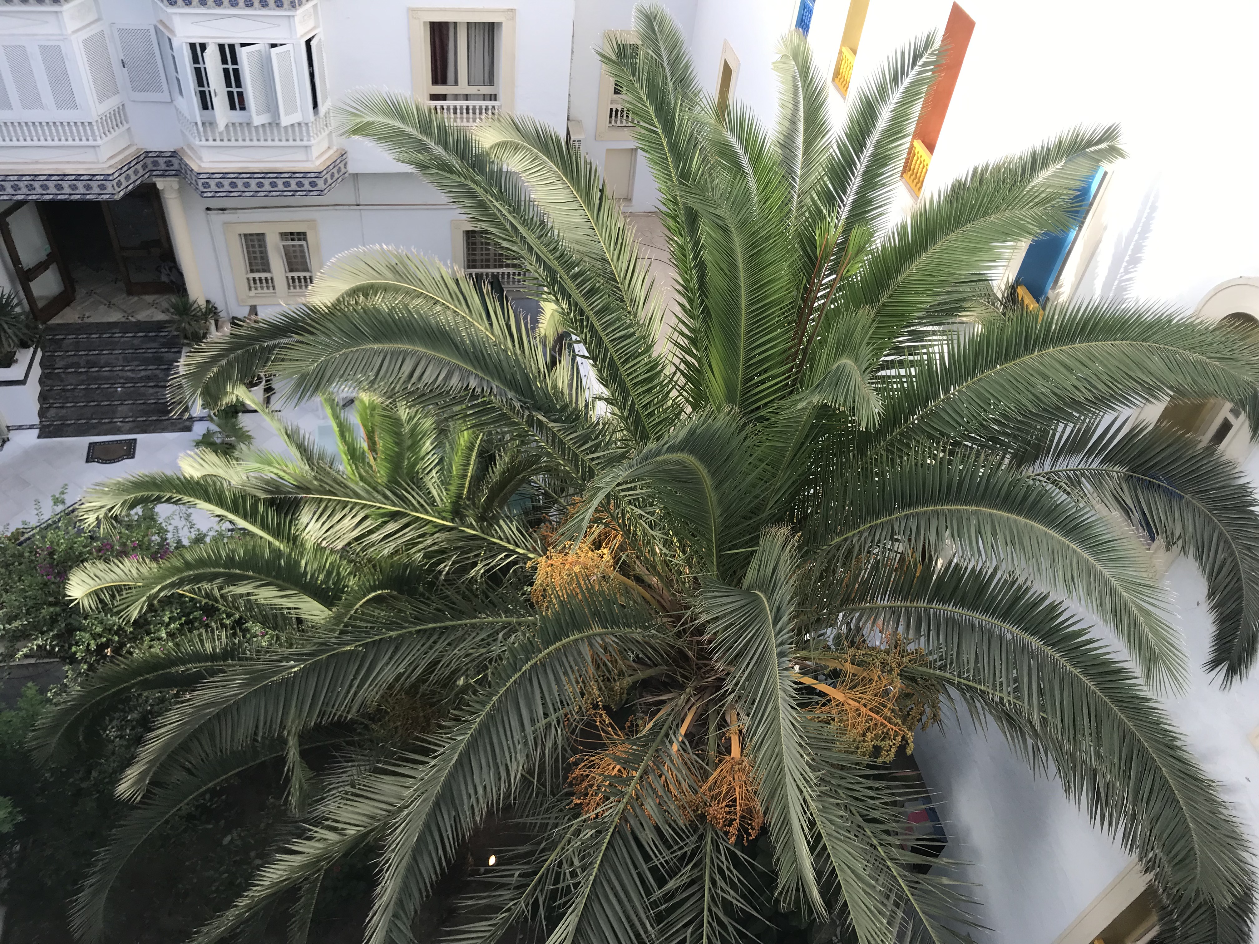 Фото Residence Mahmoud