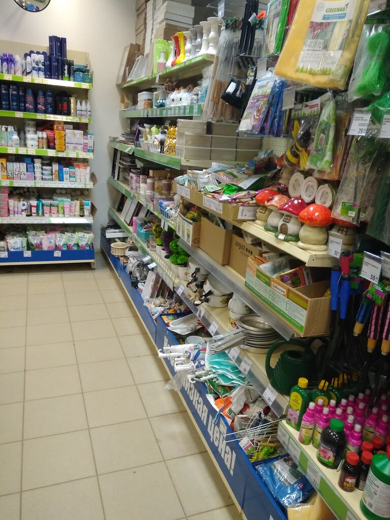 Home goods store Fix Price, Kirov, photo