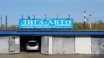 Liga-Avto (Leninskogo Komsomola Street, 31) ، أجهزة إنذار السيارات