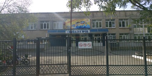 Гимназия Гимназия № 95, Дондағы Ростов, фото