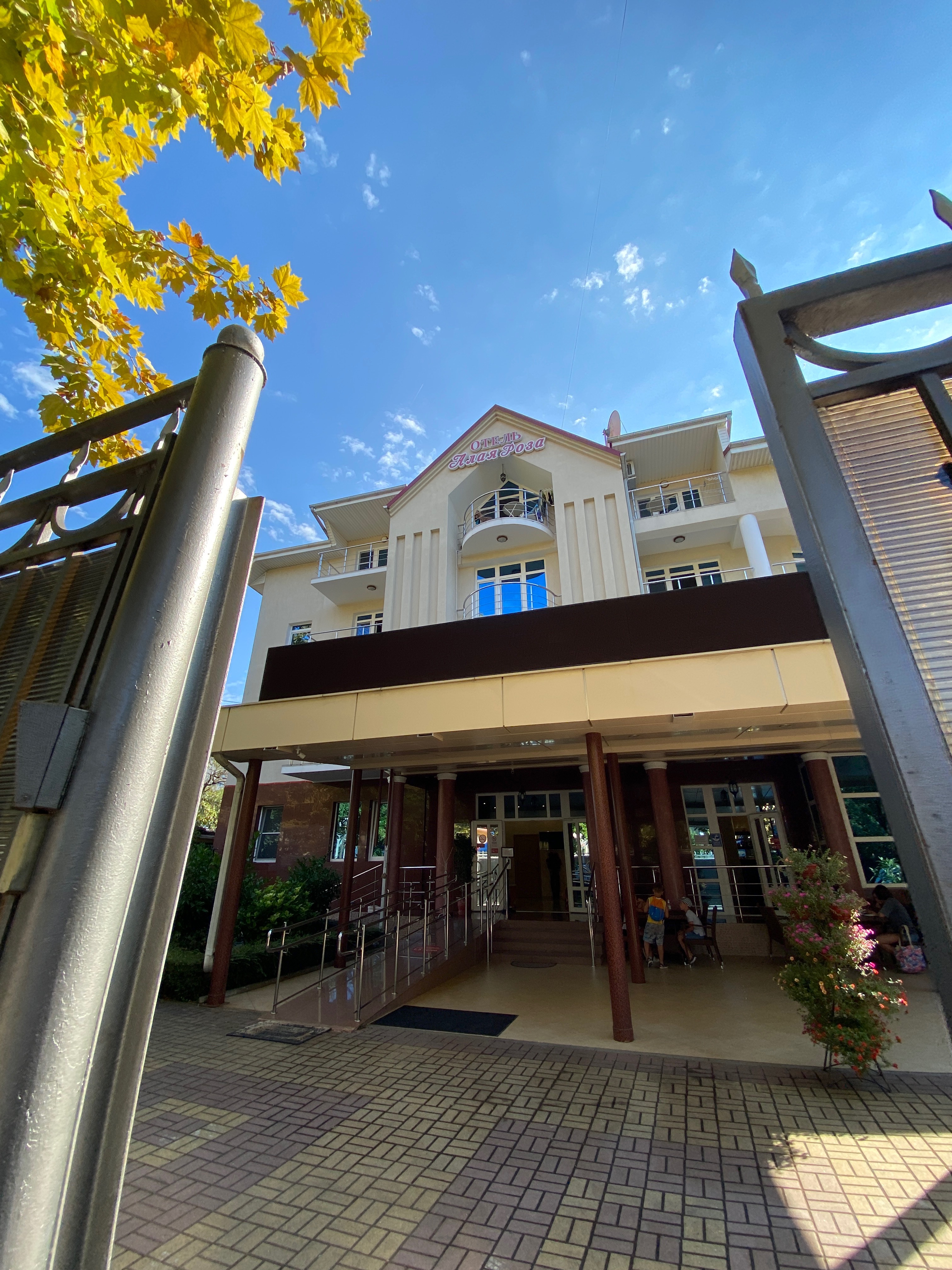 Фото Алая Роза