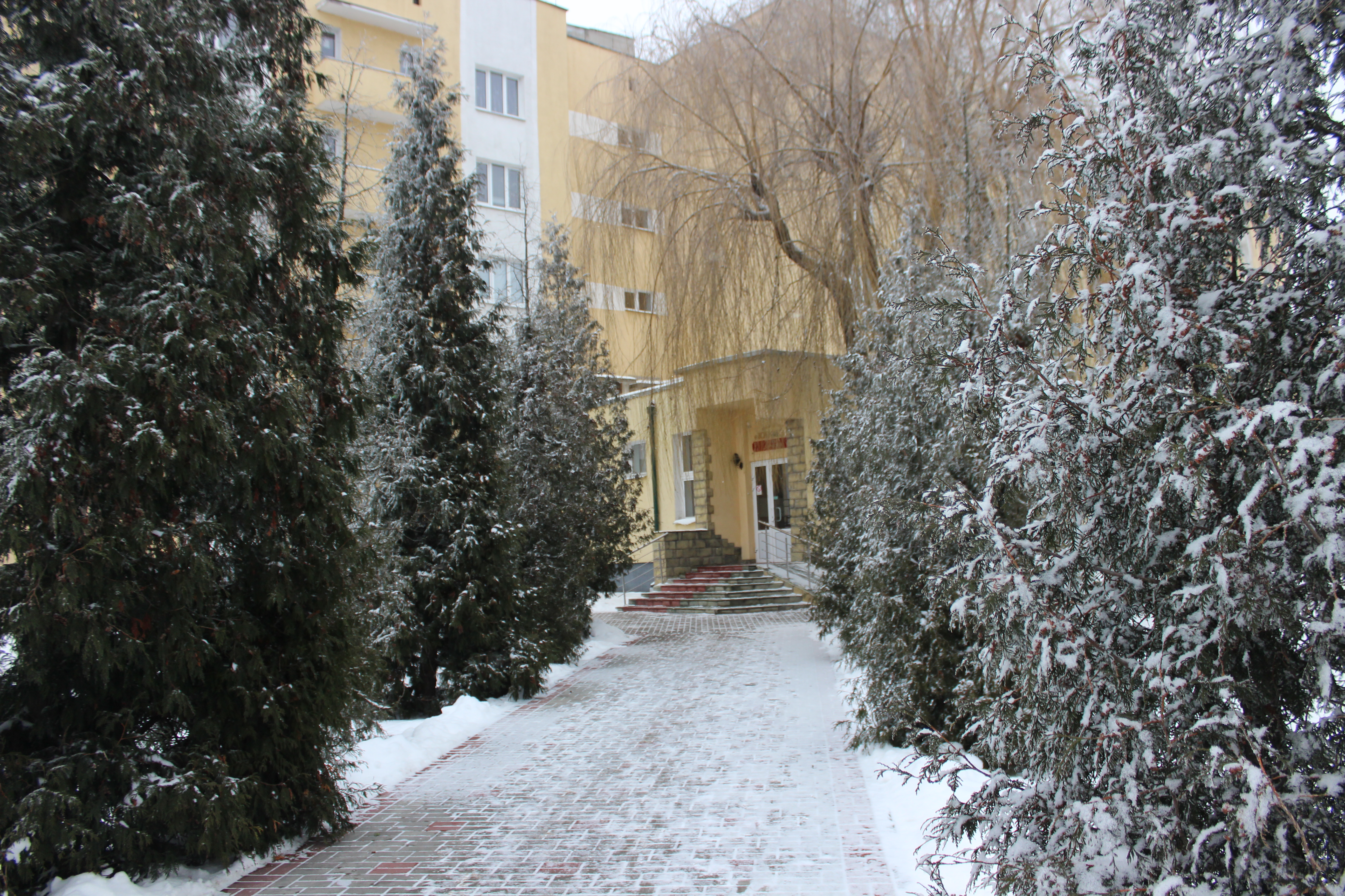 Фото Юность