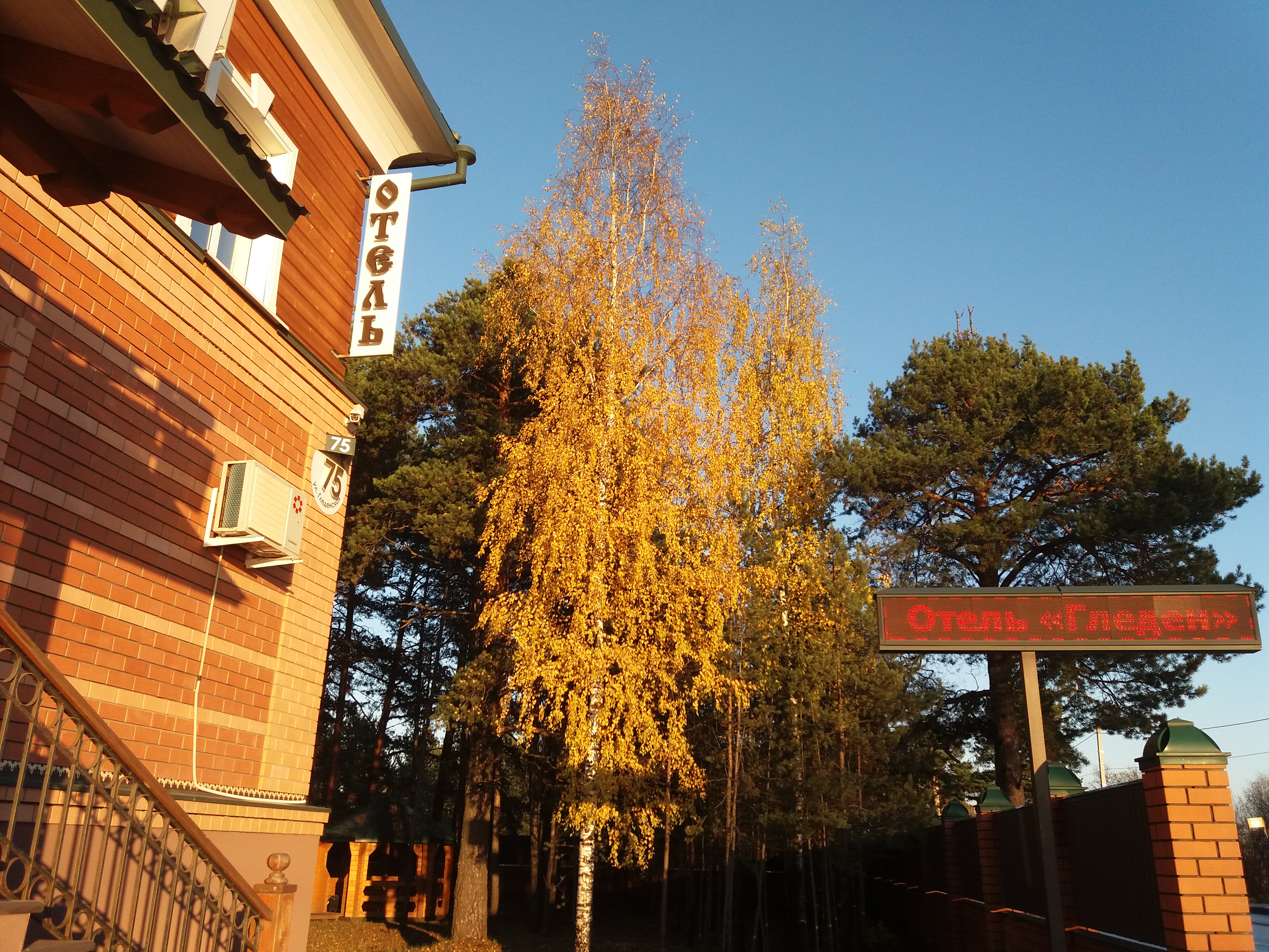 Фото Гледен