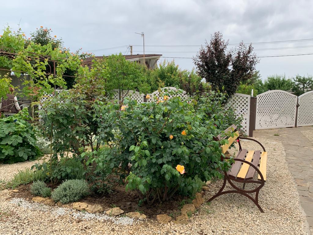 Фото Бумеранг