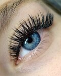 BelovaLash (Trudovye Rezervy Street, 38), eyebrow and eyelash salon