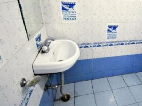 Фото Hotel Surya Palace