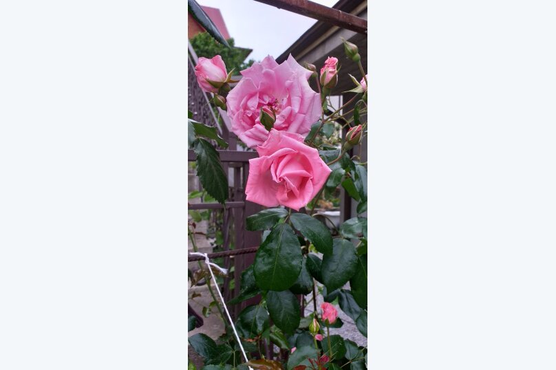 Фото Marina Garden