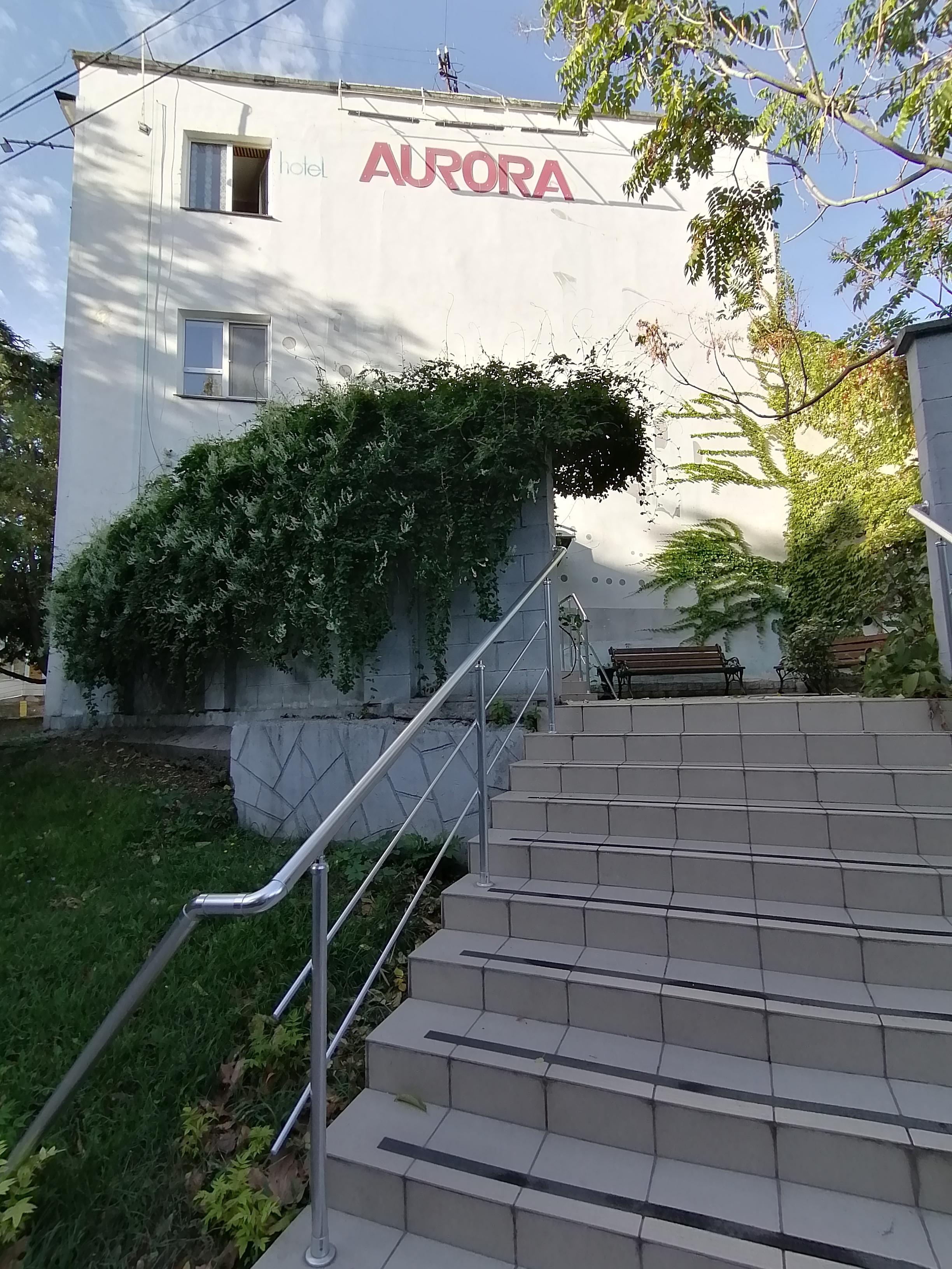 Фото Аврора