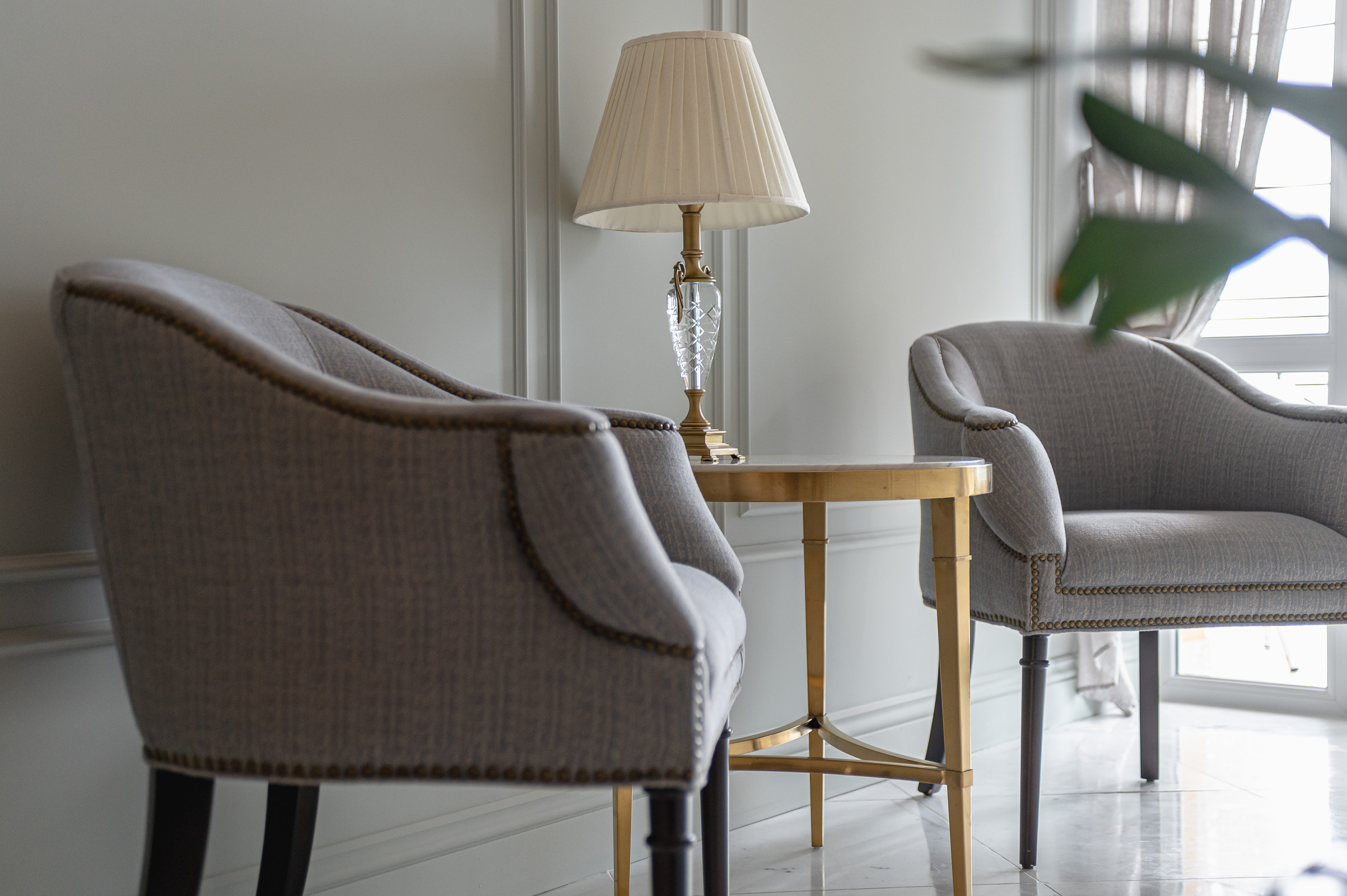 Фото Камелия