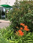 LLC Edelweiss (Kurganskaya Street, 3) ، معدات بيع بالتجزئة