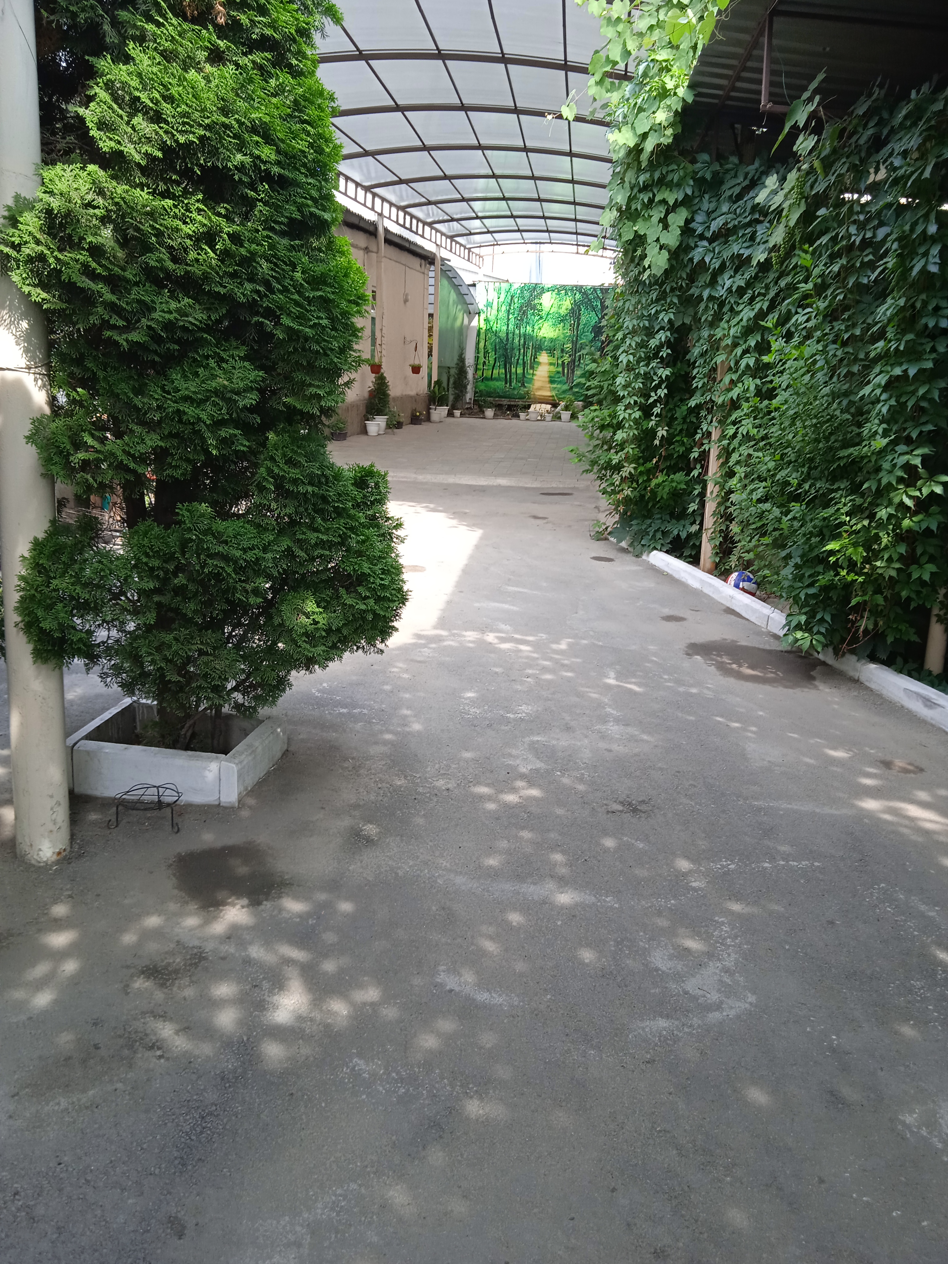 Фото У Нонны