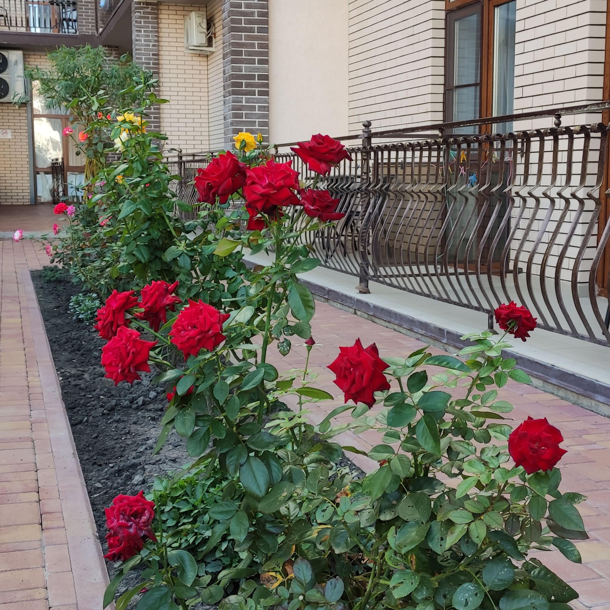 Фото Акрополис