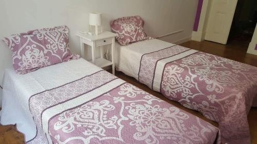 Фото Cenario Catita Hostel