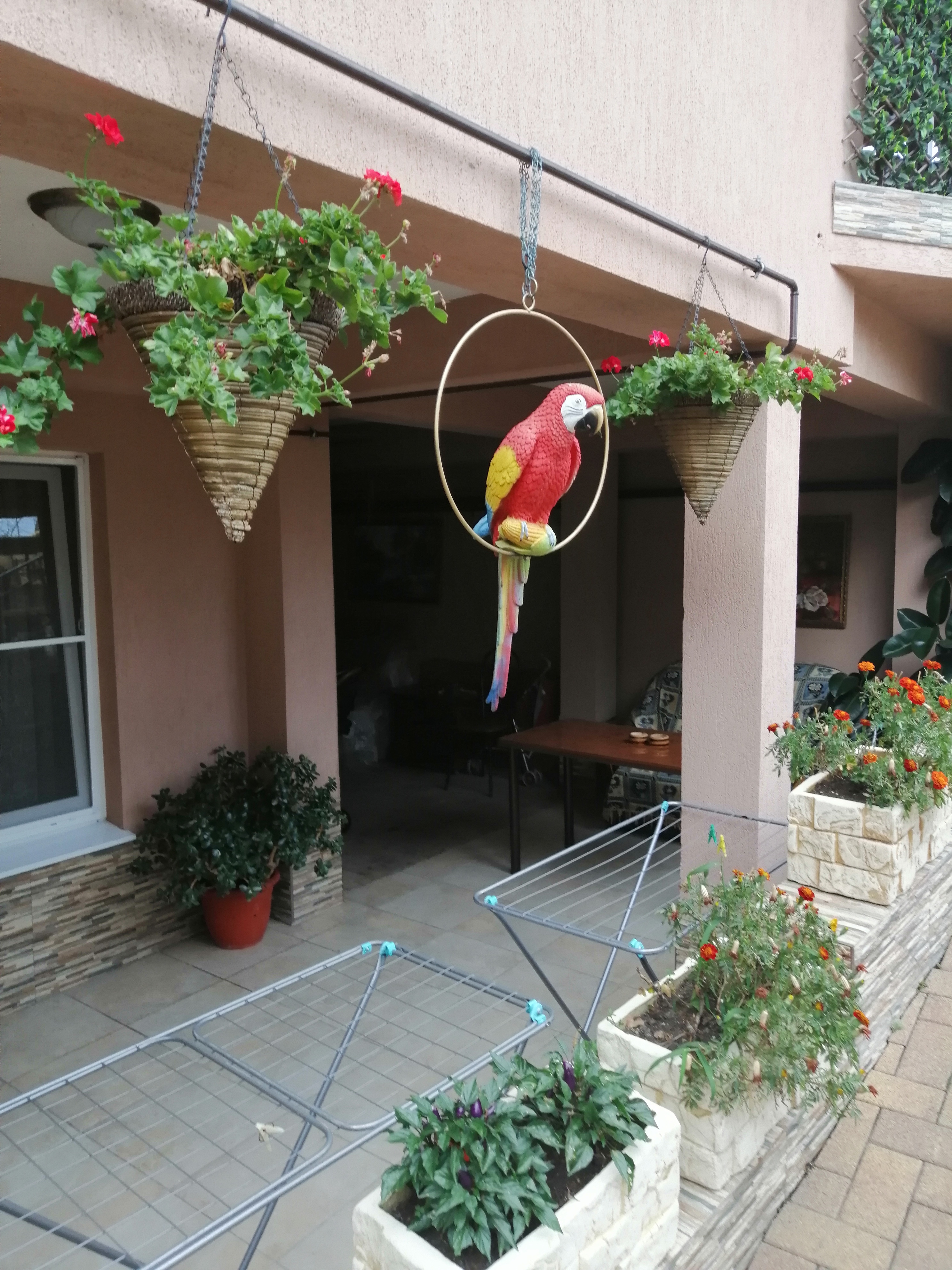 Фото Море Лето