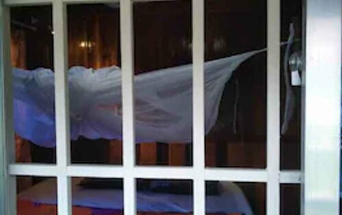 Гостиница The Sleeping Buffalo