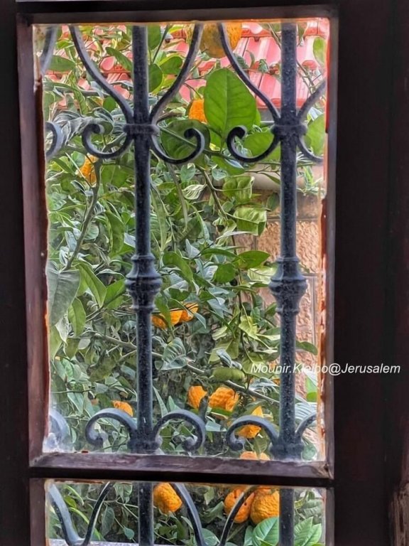 Фото Jerusalem Hotel