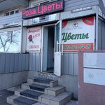 Krasa Roza (Belinskogo Street, 1) ، محل زهور