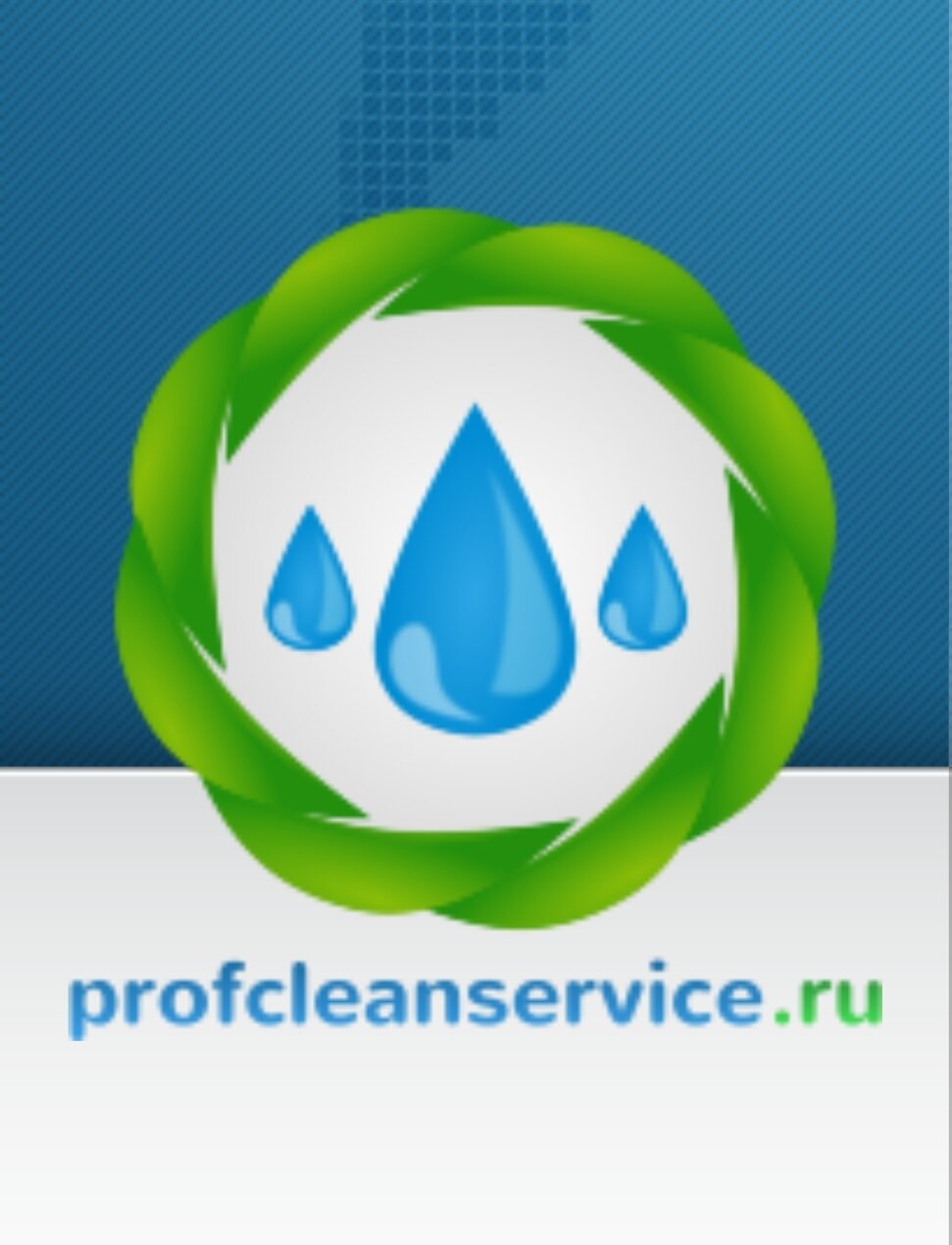 ПрофКлинСервис