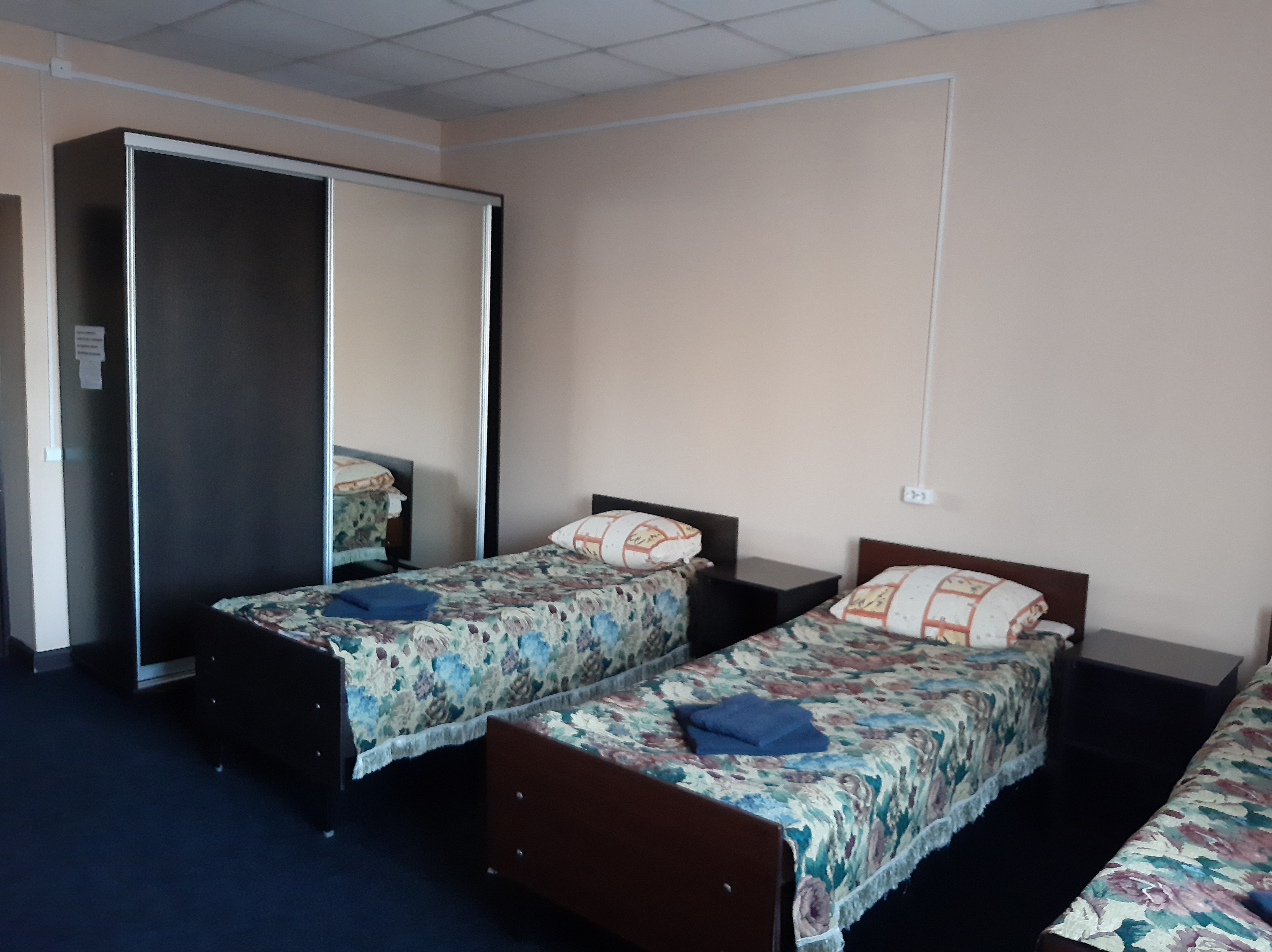 Фото Спутник