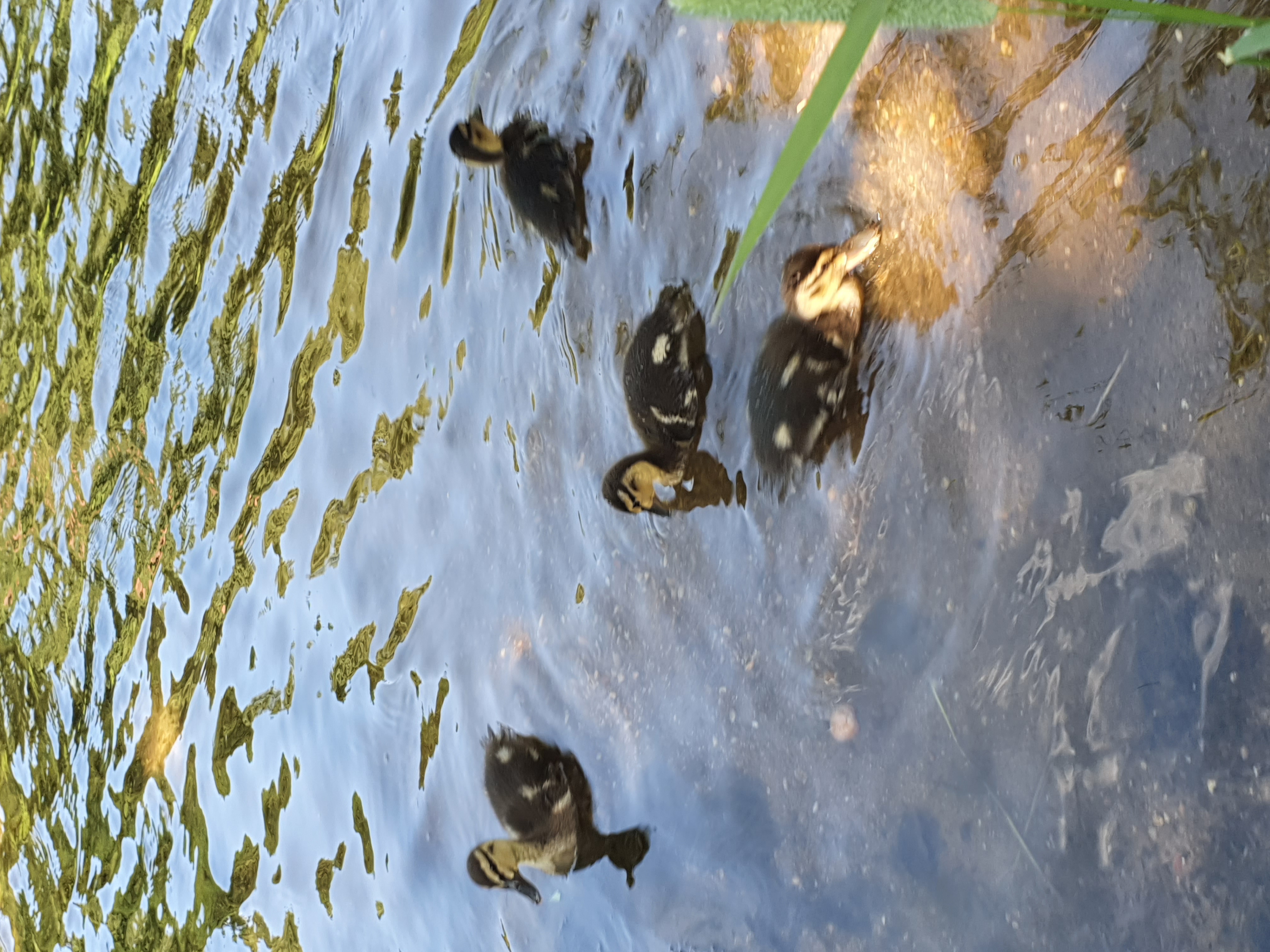 Фото Солонцово