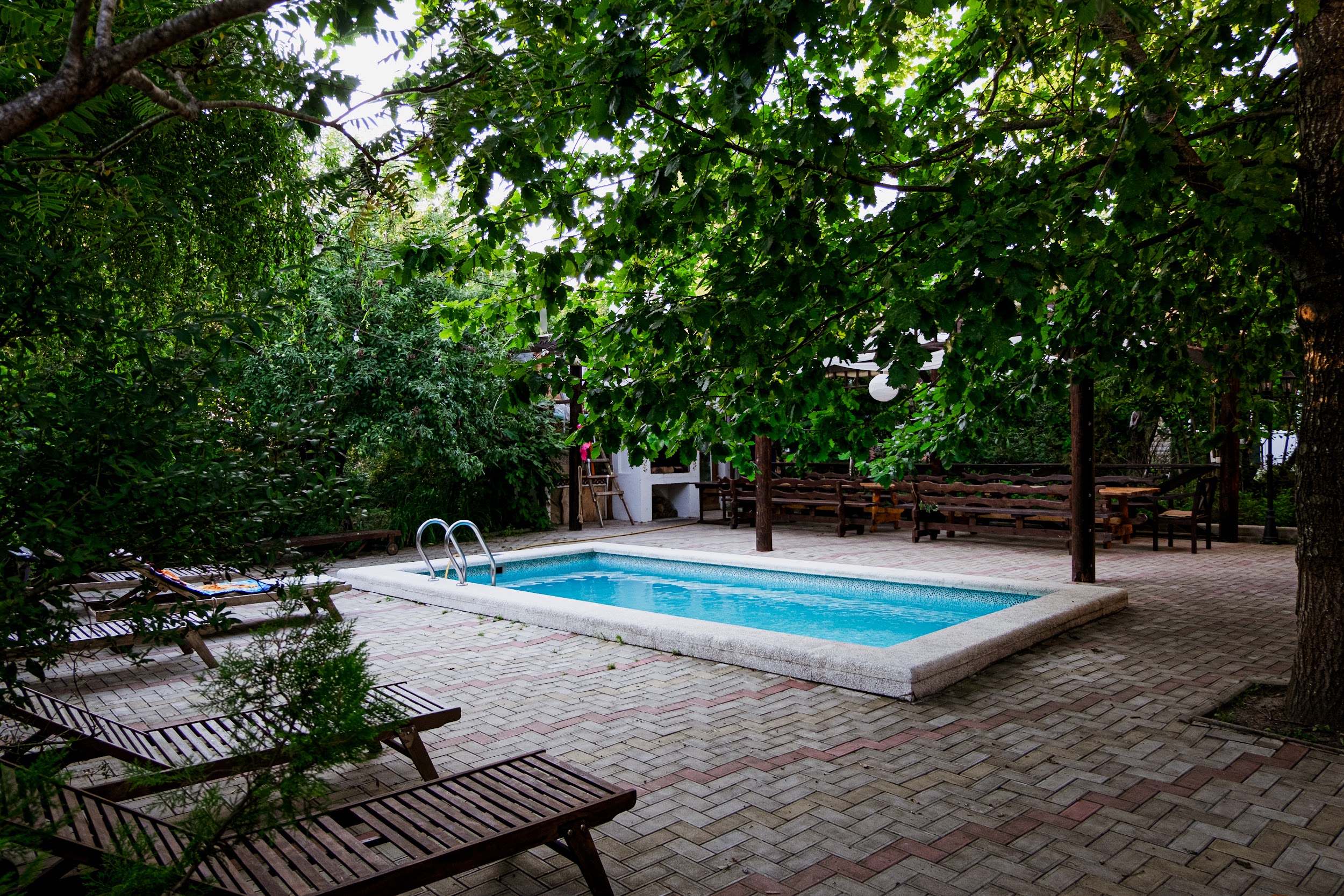 Фото Курочка Ряба