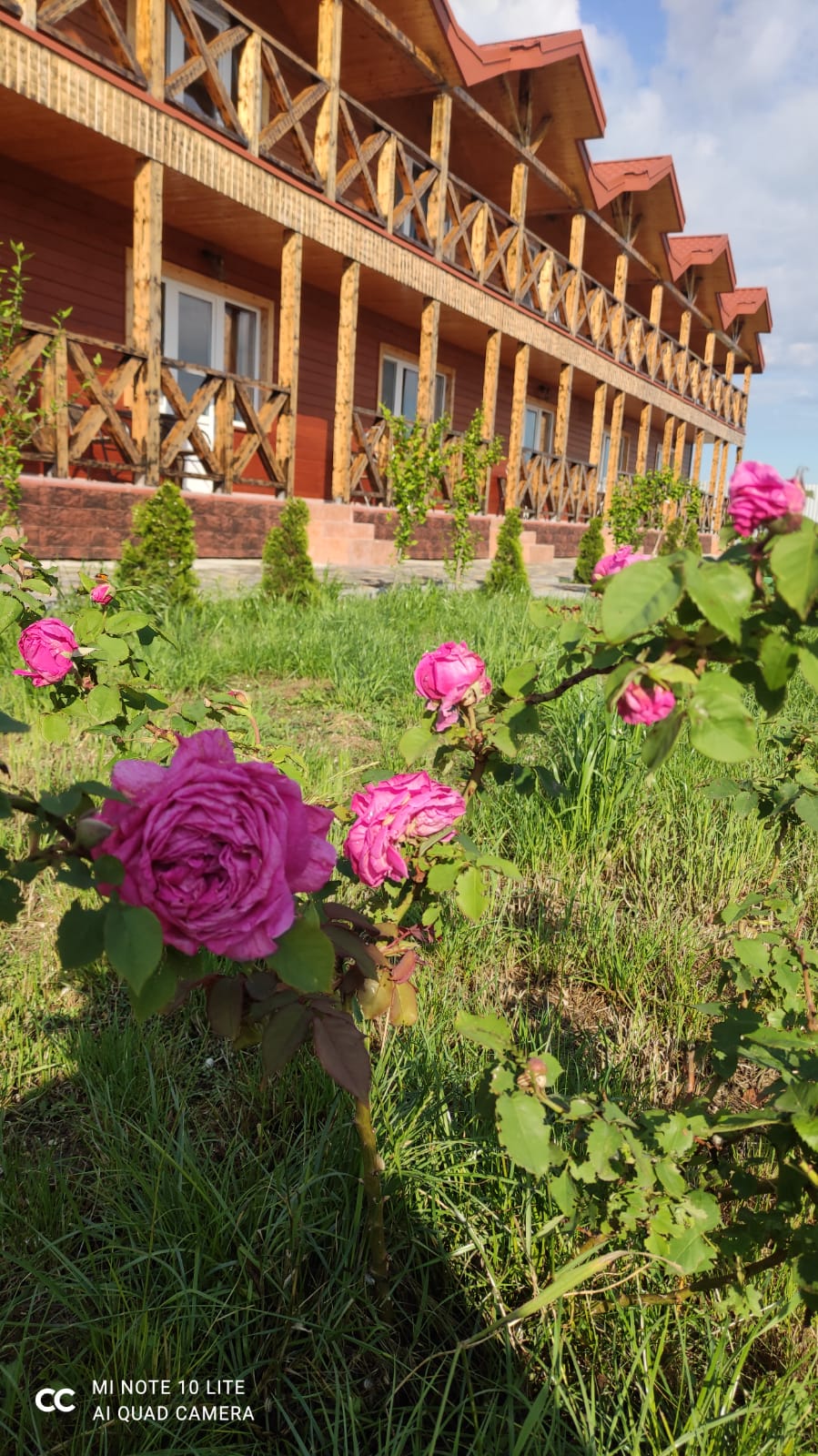 Фото Миланд