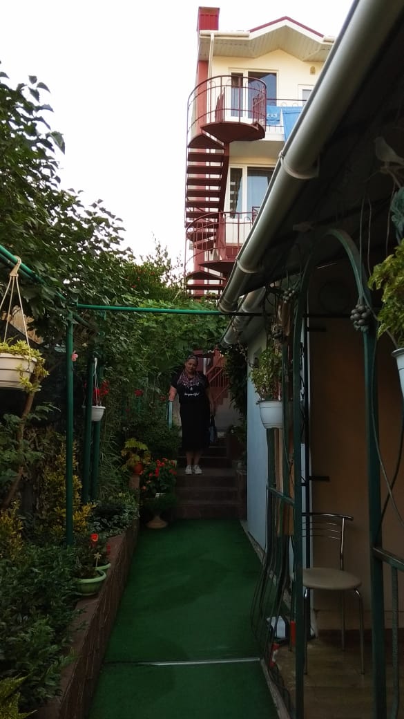 Фото Парусник