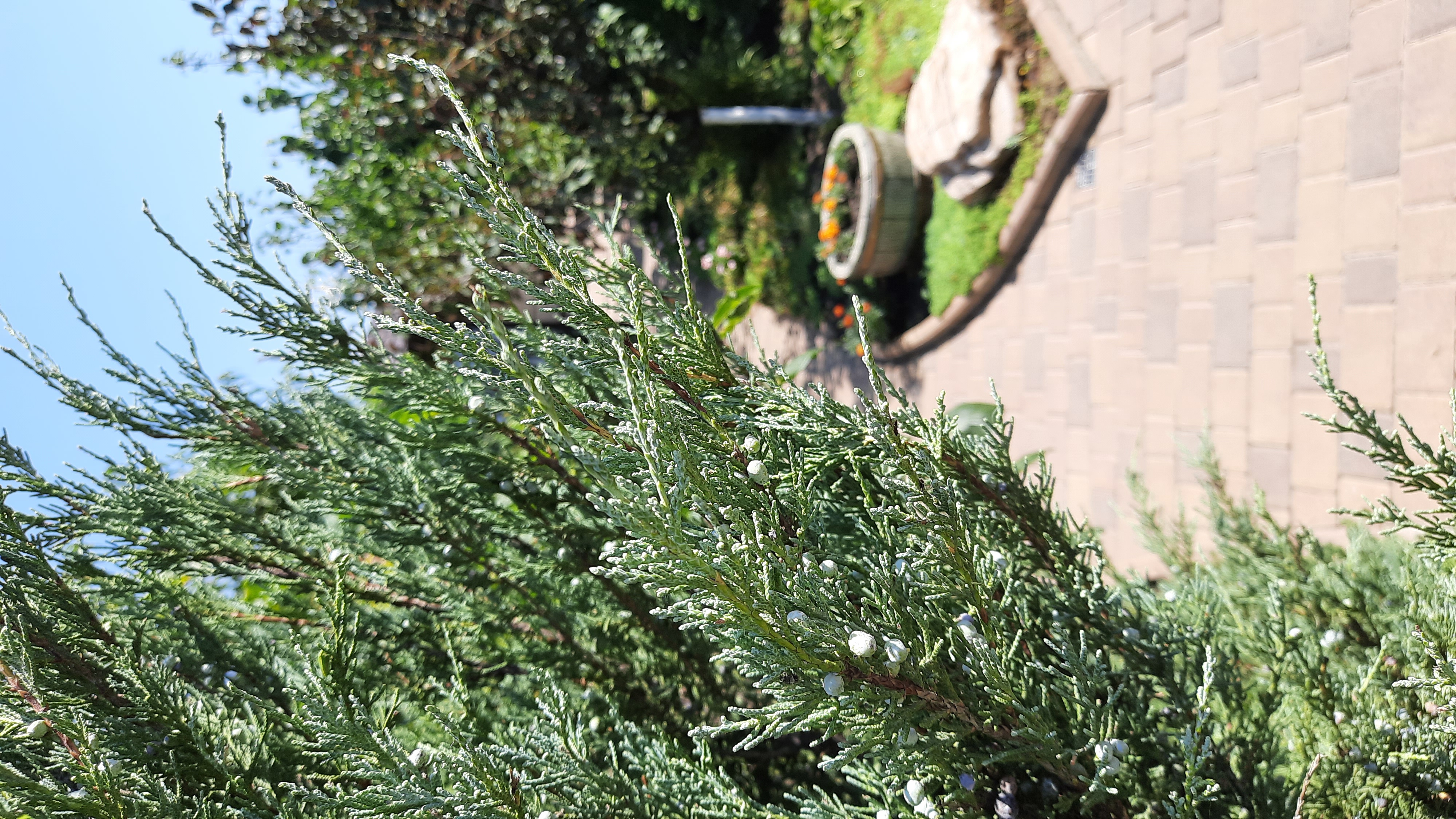 Фото Дом у моря Частный сектор