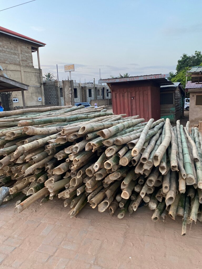 Logging, timber sales Timber Market, Earth, photo