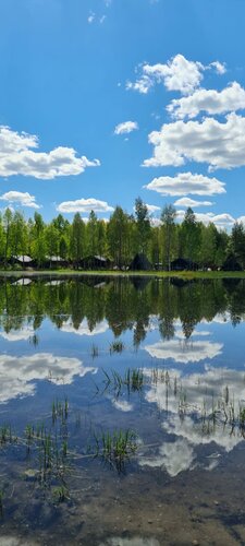 Гостиница Домик в соснах во Владимирской области