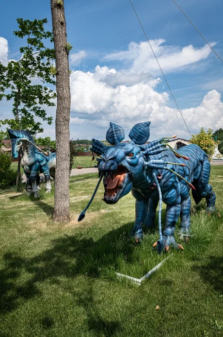 Фото Эко-отель Руза Фэмили парк