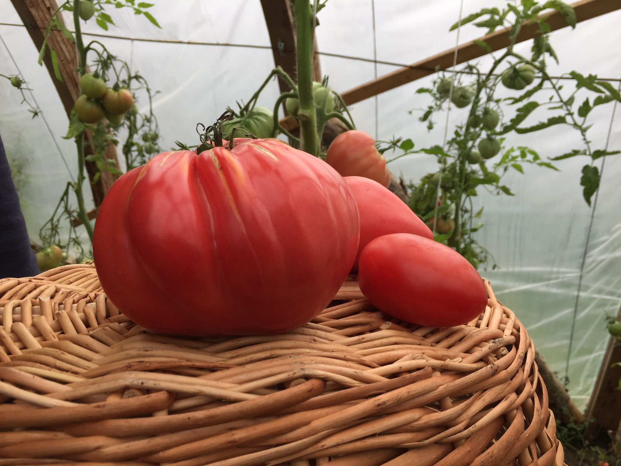 Фото Хутора на озере Але