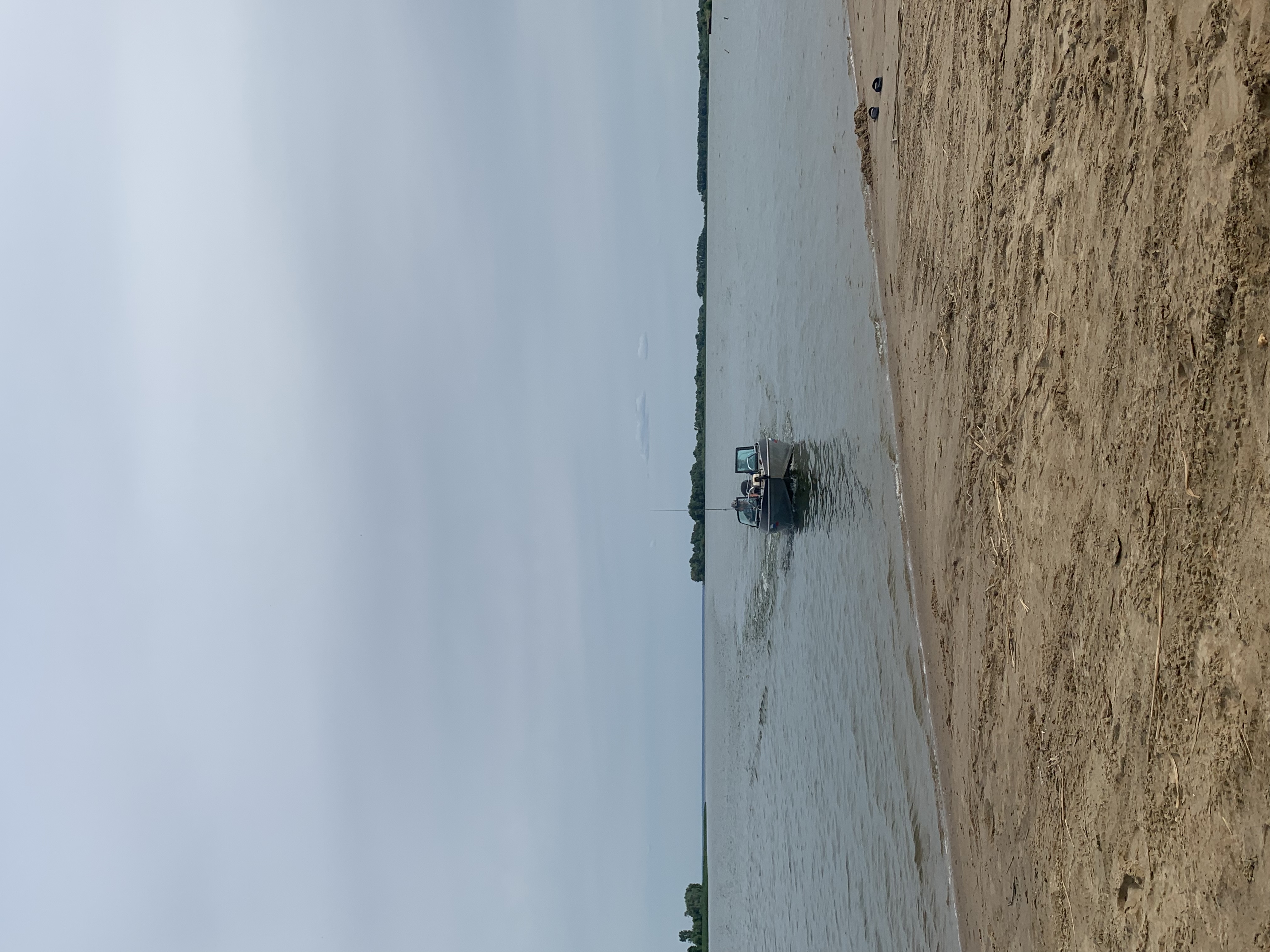 Фото Солнышко