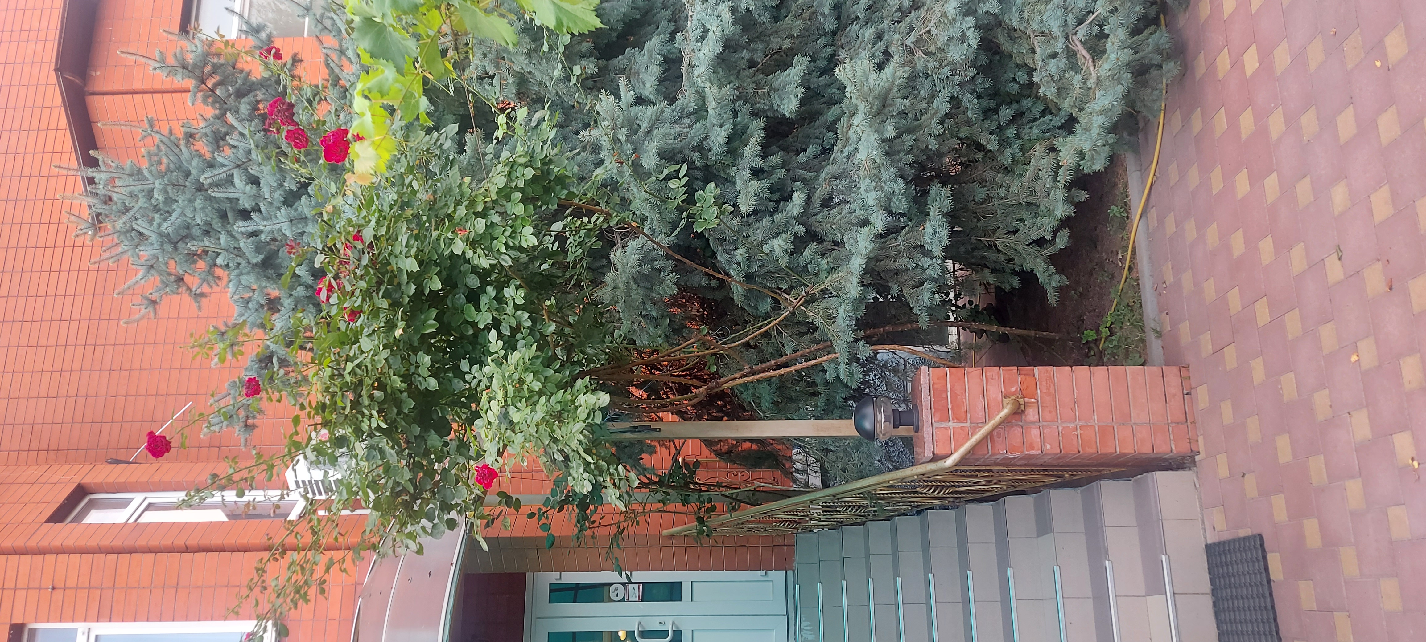 Фото Молодежная