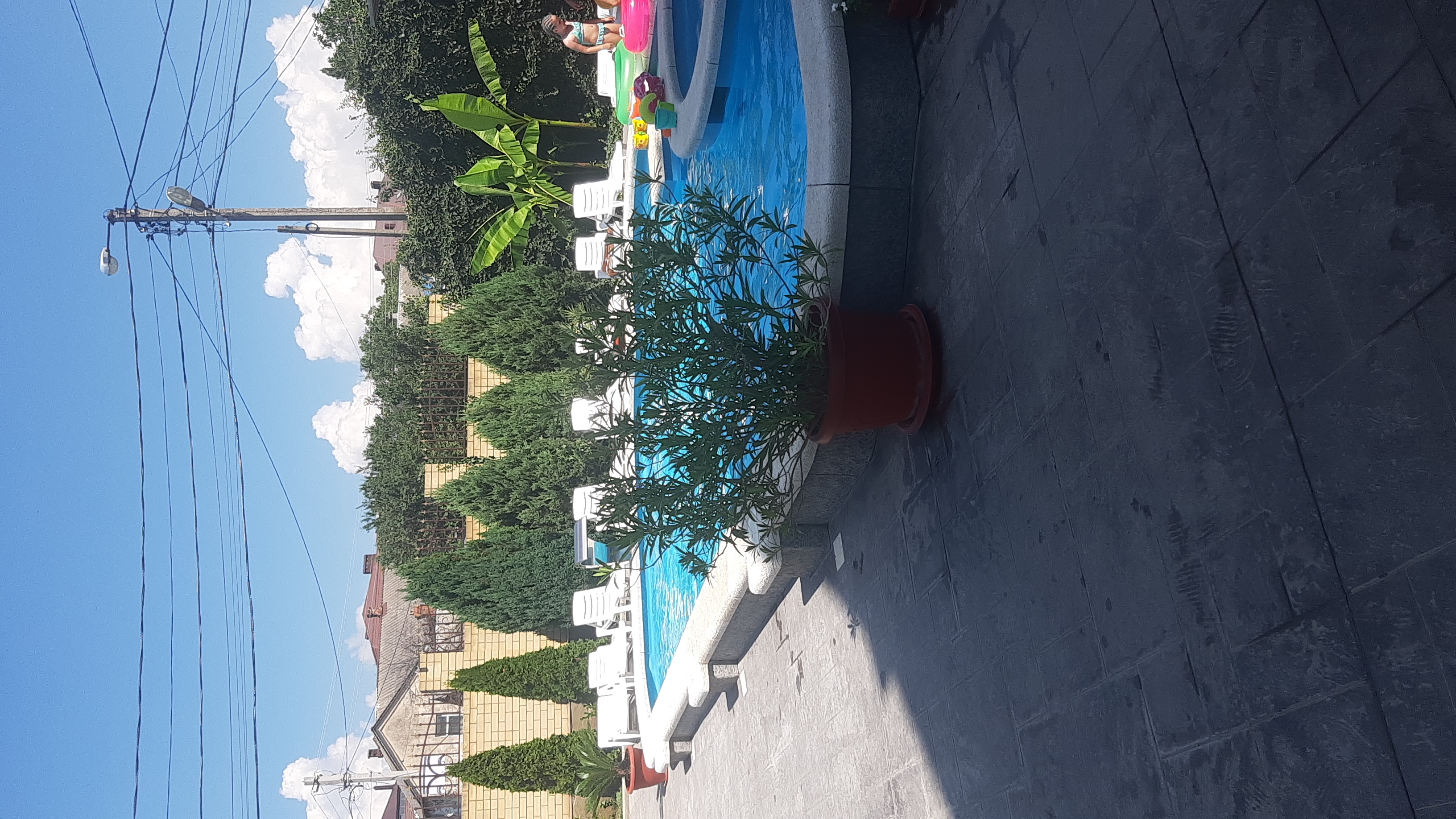 Фото Селини