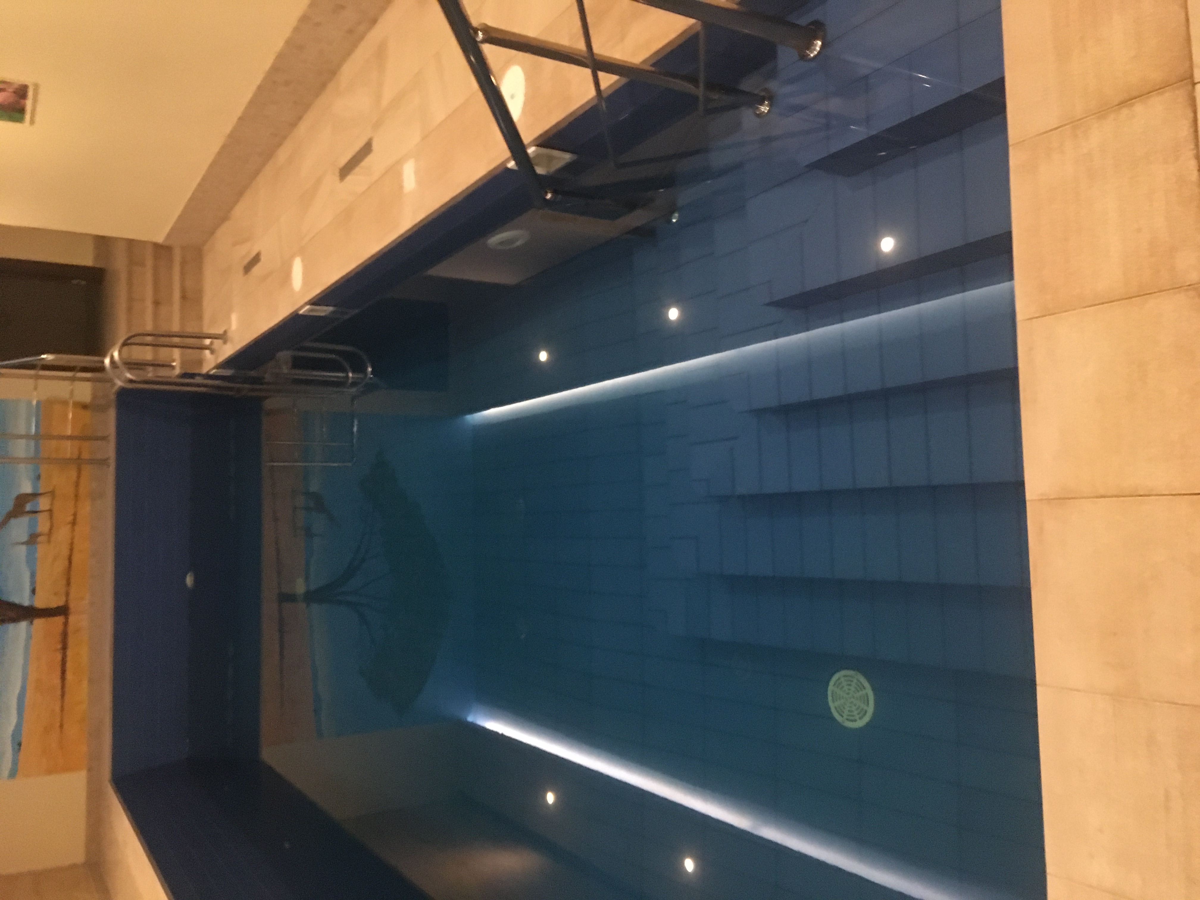 Фото Саванна