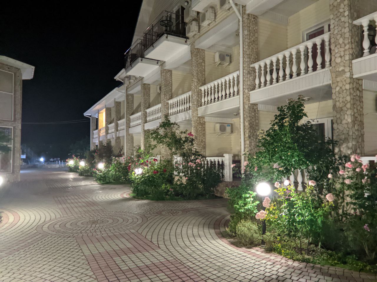 Фото Альбатрос