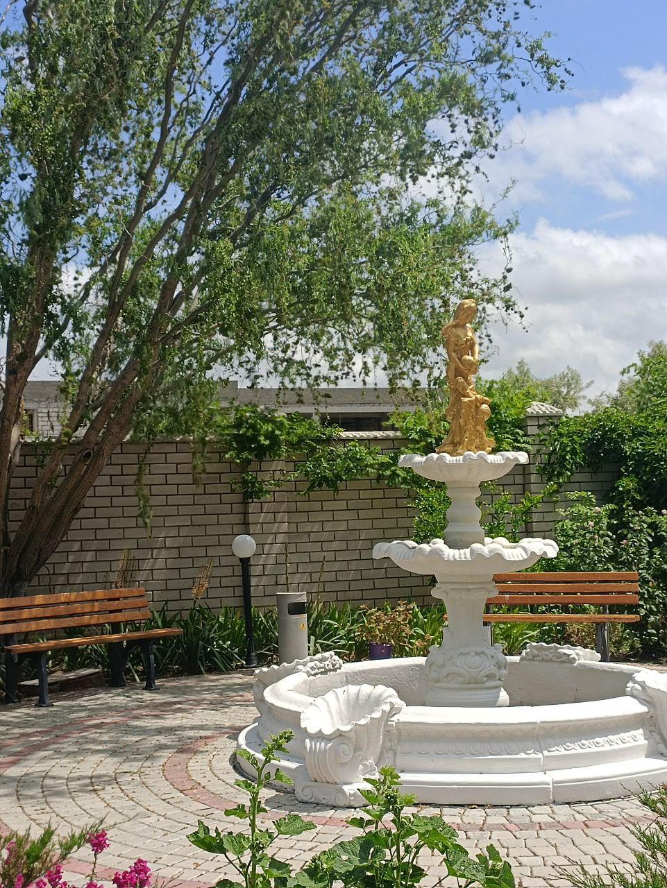 Фото Альбатрос