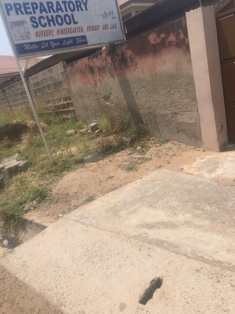 School Starlet, Earth, photo