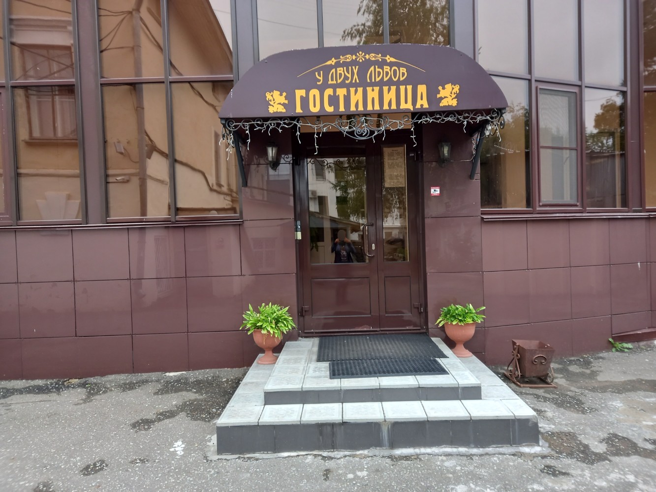 Фото У двух львов