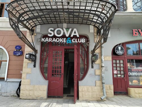 Воронеж ул никитинская 52