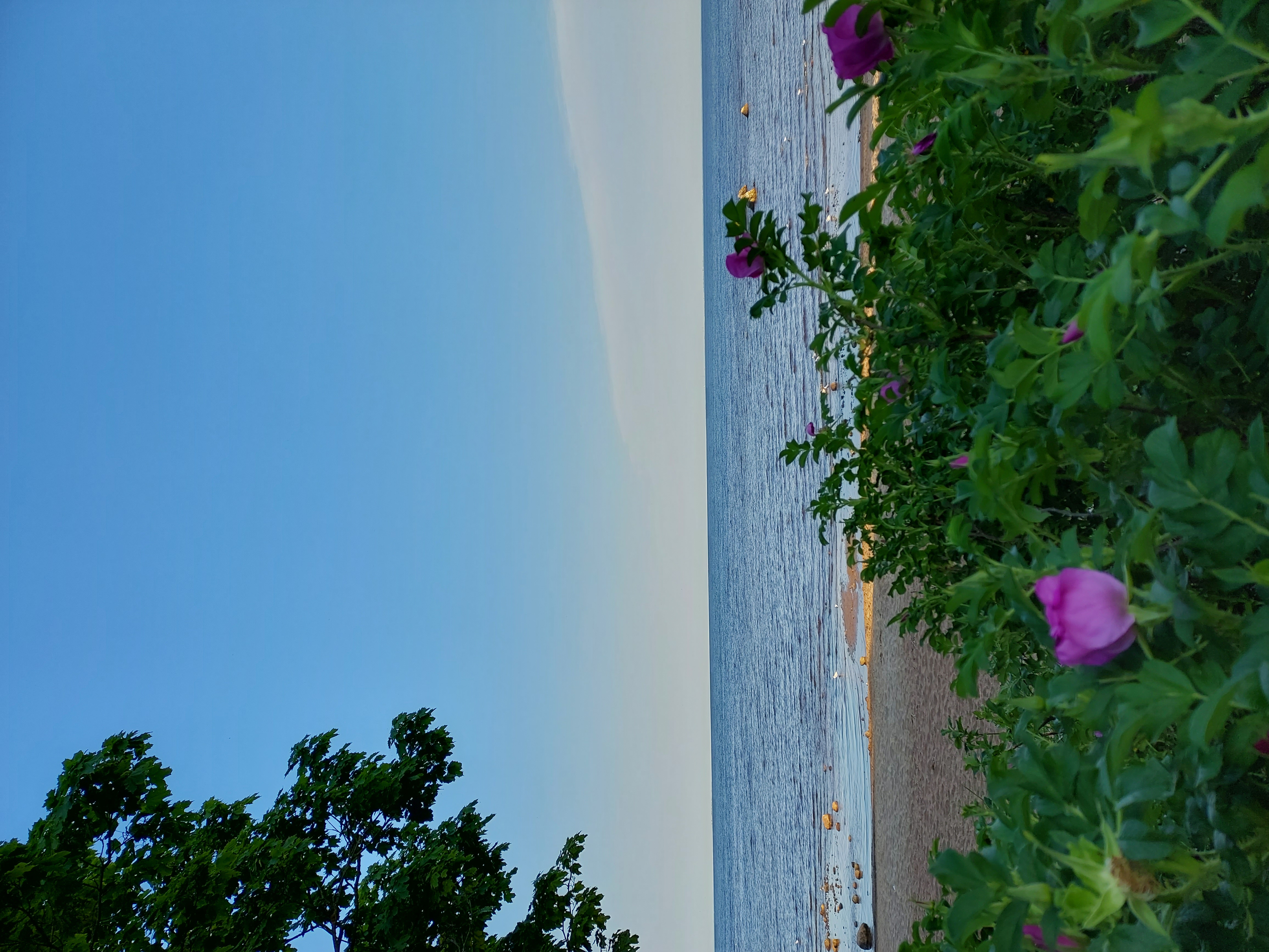 Фото Гелиос